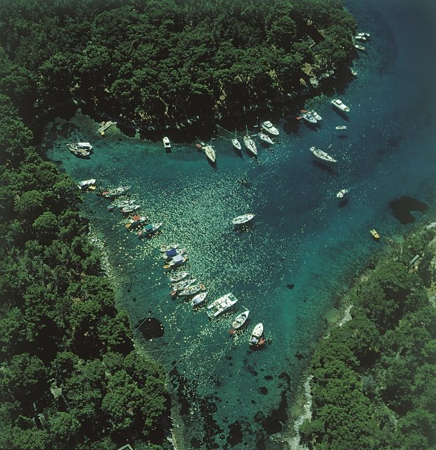 Lošinj_photo by Ivo Pervan