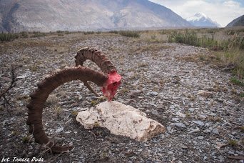 Khan Tengri zdobyty - 4 (2)