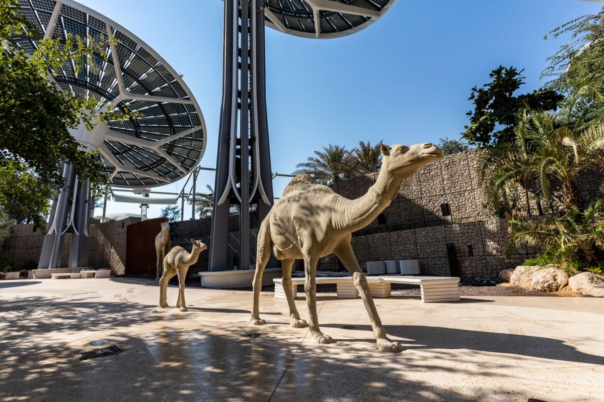 Expo_Sustainability Pavilion_Arabian Wadi