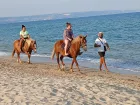 miniatura Foto. Jerzy Niemociński, Albena.bg 31