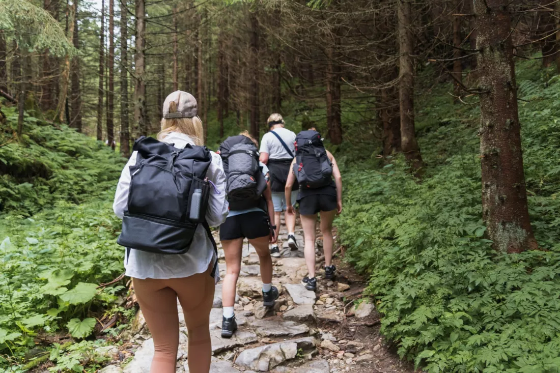 Two young women with backpacks hiking on a forest trail in the Tatra mountains.