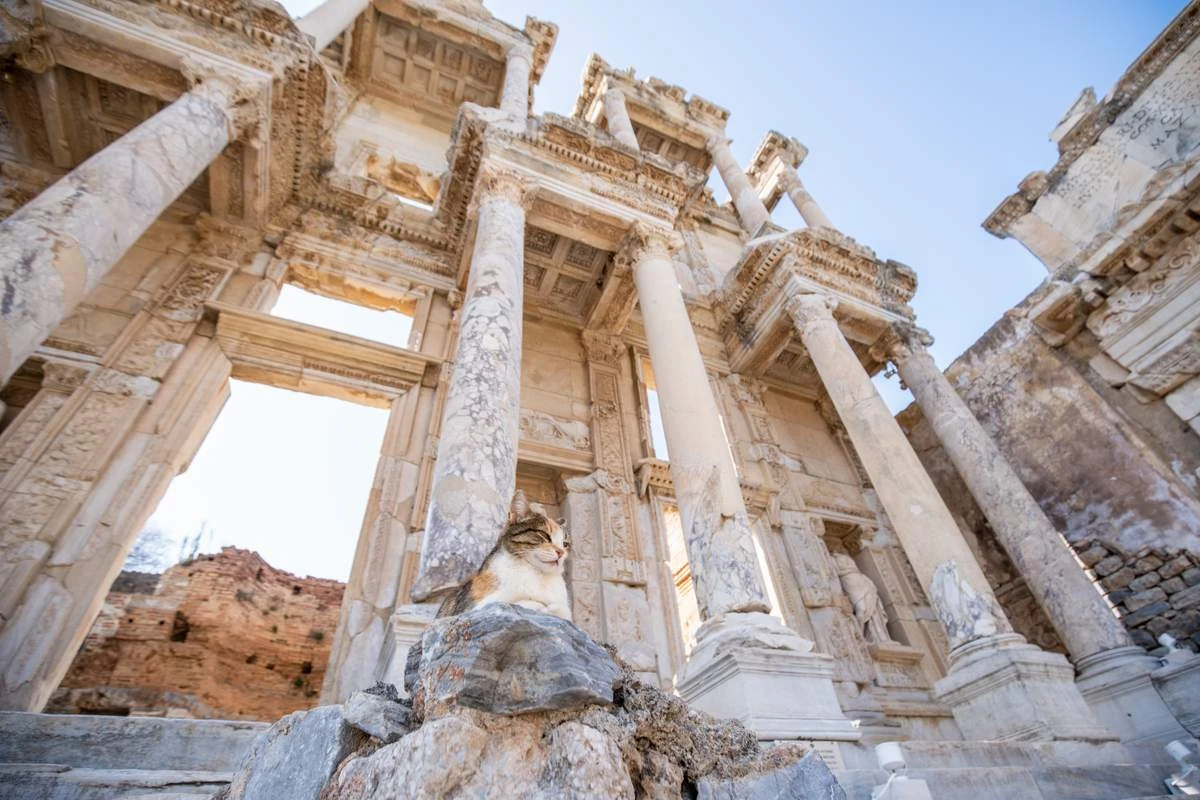 1. İzmir Ephesus Ancient City 4 (fot.TGA)