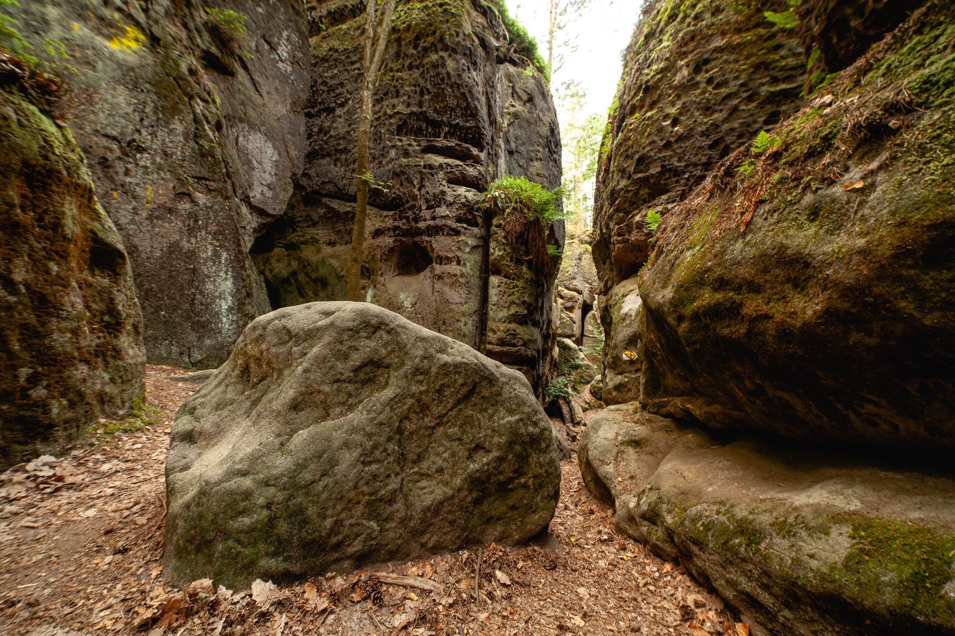 Skalny labirynt.  Fot. SCCR, Ondřej Soukup (3)