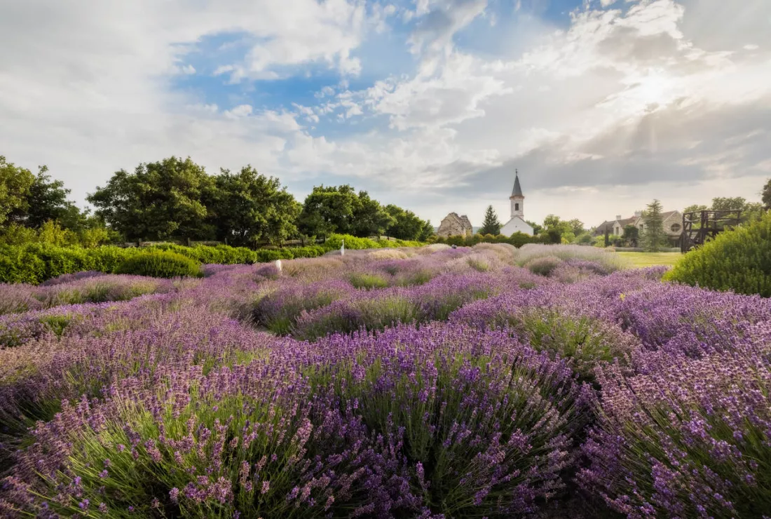 Foto. Visit Hungary