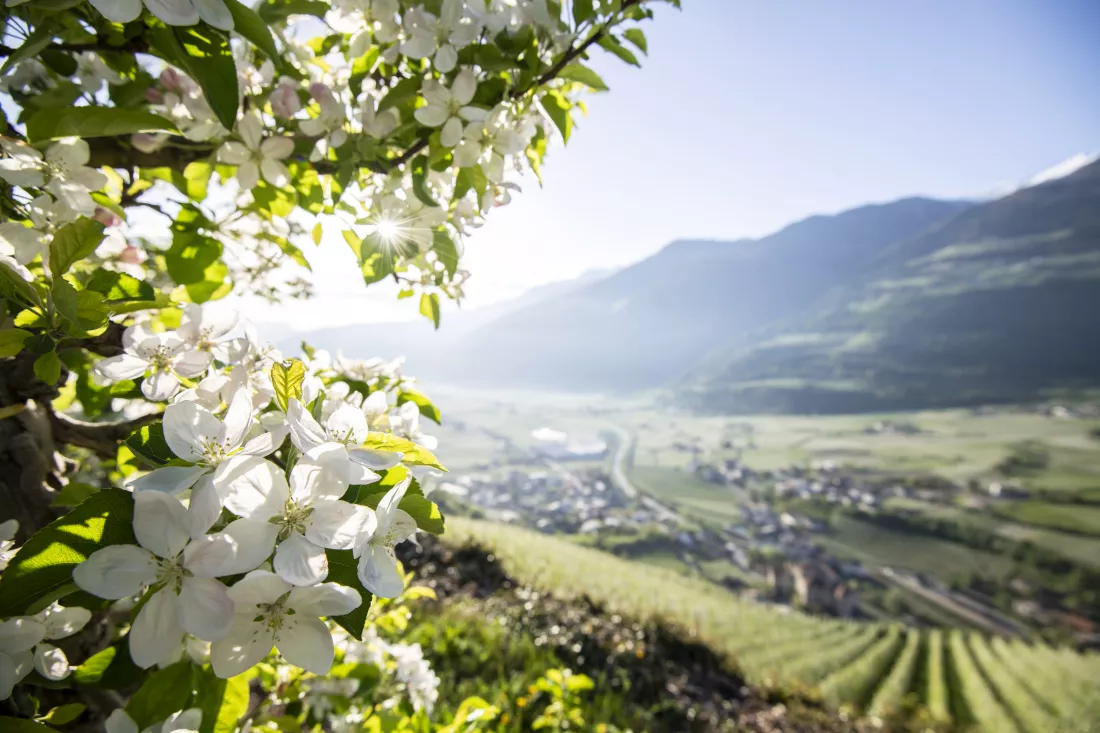 WŁOCHY. TYROL POŁUDNIOWY , Foto. MSLAlex Filz