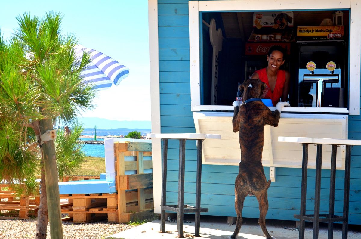 Bar i plaza przyjazne psom_Crikvenica_Chorwacka Wspolnota Turystyczna-03